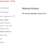 New Google Webmaster Tool, "Manual actions" - Mahoney Web Marketing
